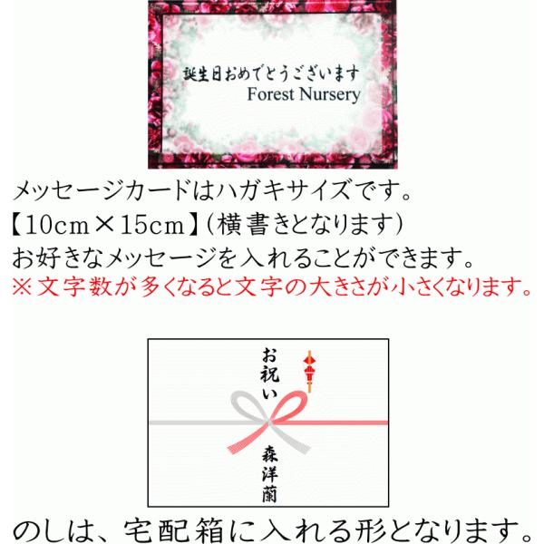 花 ギフト 鉢花 胡蝶蘭 開店祝い 大輪 大輪 白 3本立ち27 29輪 お祝い ギフト 生花 移転祝い 開業祝い 誕生日祝い 就任祝い 退職祝い 還暦 祝い 命日 胡蝶蘭専門店フォレストナーサリー
