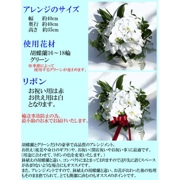 宅送 胡蝶蘭 開店祝い 白 アレンジ 切花 ギフト お祝い 移転祝い 開業祝い 誕生日祝い 就任祝い 退職 還暦 お供え 命日 日本製 Www Technet 21 Org