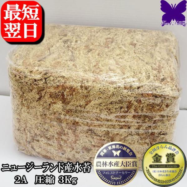 水苔3kg ニュージーランド産 【2A】【AA】 水苔 販売 胡蝶蘭 洋蘭 など