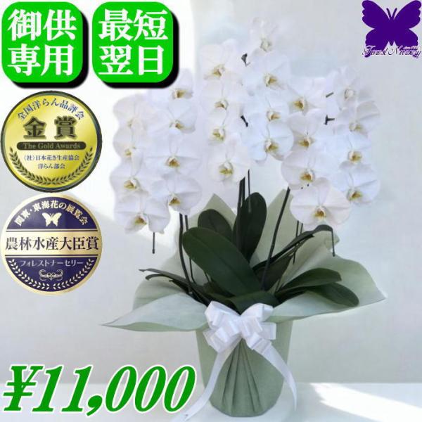 胡蝶蘭 お供え専用 白3本立ち 24輪胡蝶蘭 お供え専用 白2本立ち 18輪　※植物の為、個体差があります。■ラッピング　：　お供え用にラッピング致しますので、ご安心下さい。■立て札・メッセージカード・のし　：　いずれか1種類無料です。■育...