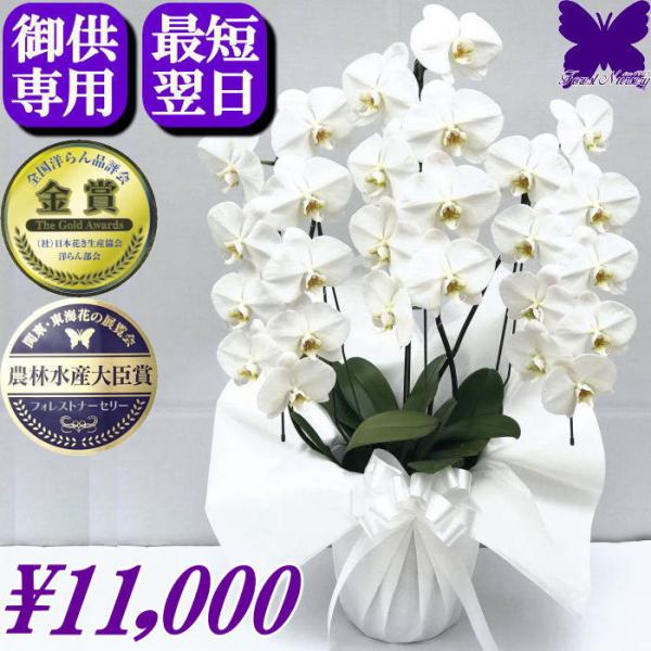 胡蝶蘭 お供え専用 白3本立ち 24輪胡蝶蘭 お供え専用 白2本立ち 18輪　※植物の為、個体差があります。■ラッピング　：　お供え用にラッピング致しますので、ご安心下さい。■立て札・メッセージカード・のし　：　いずれか1種類無料です。■育...