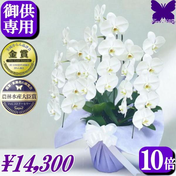 胡蝶蘭 お供え専用 白 3本立ち 27輪胡蝶蘭 お供え専用 白 4本立ち 24輪　※植物の為、個体差があります。■ラッピング　：　お供え用にラッピング致しますので、ご安心下さい。■立て札・メッセージカード・のし　：　いずれか1種類無料です。...