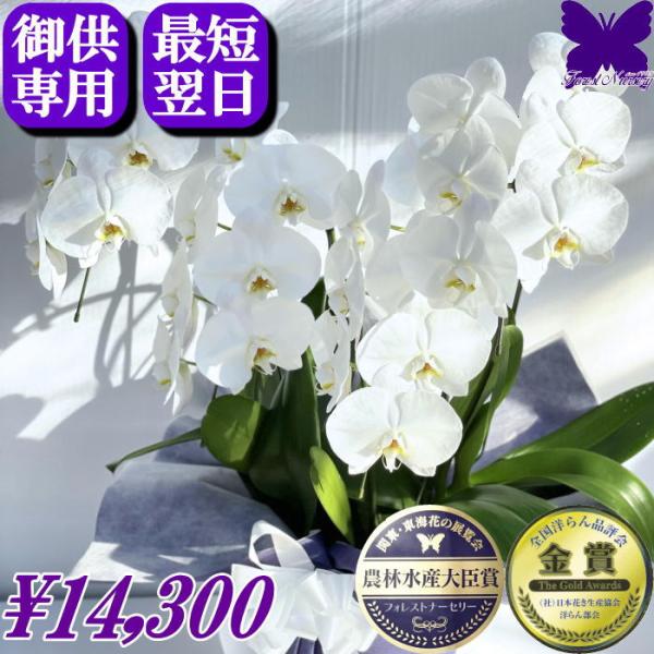 胡蝶蘭 お供え専用 白 3本立ち 27輪胡蝶蘭 お供え専用 白 4本立ち 24輪　※植物の為、個体差があります。■ラッピング　：　お供え用にラッピング致しますので、ご安心下さい。■立て札・メッセージカード・のし　：　いずれか1種類無料です。...