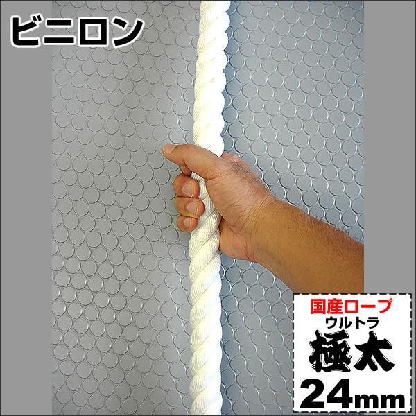 Y[v/rj@Egɑ[v a24mm/5m