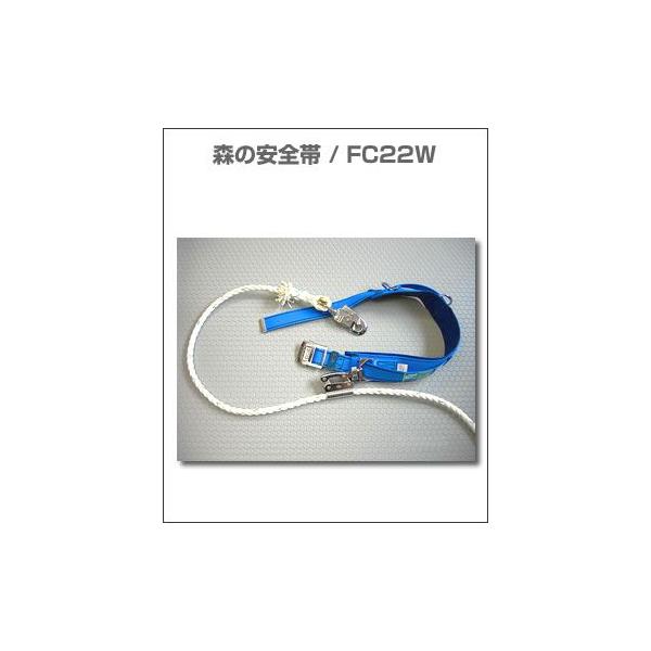 ẌS / FC22W W؎dl