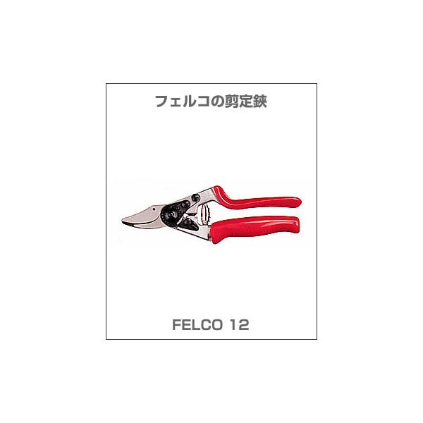 tFR̙ / FELCO12 XCX̖