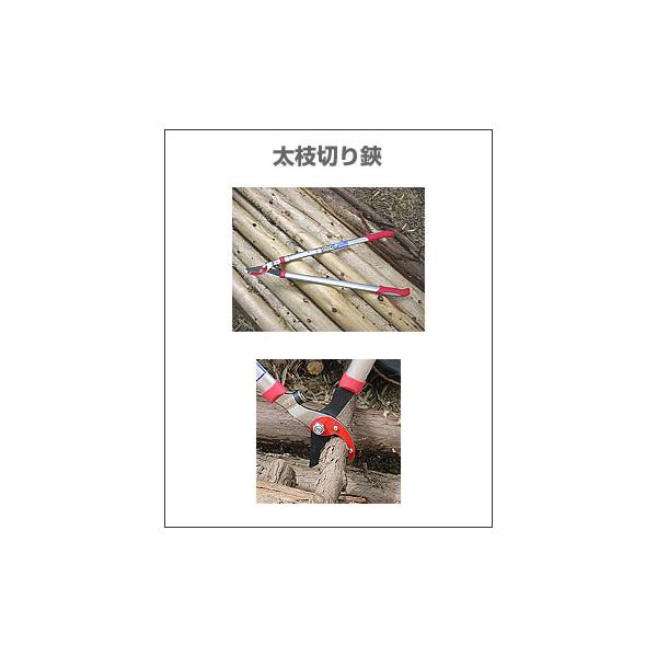 }؂ / SK-5etd