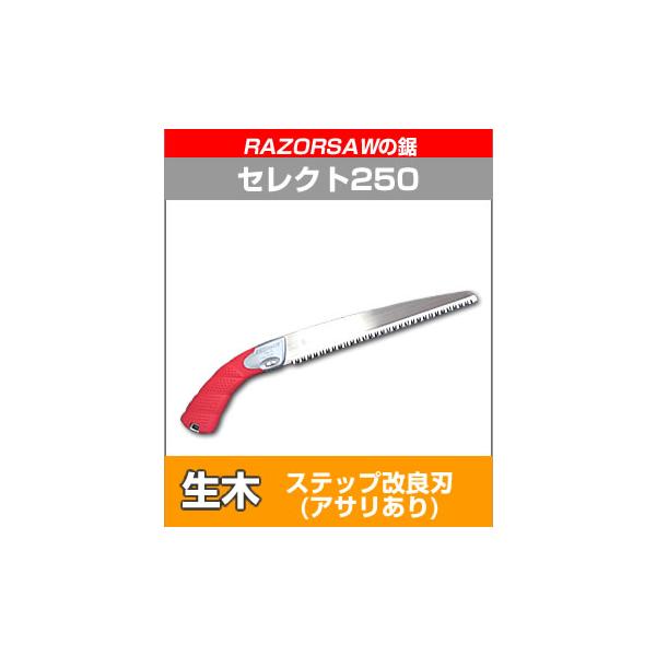 U[\[̋(̂) / ZNg250 / 