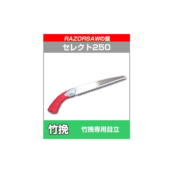 U[\[̋(̂) / ZNg250 / | / |ҋiт̂j