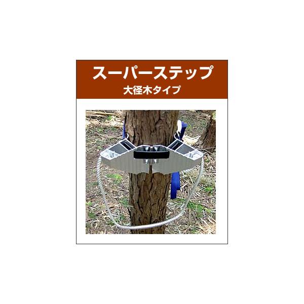 X[p[Xebv a؃^Cv / 1Zbg6Xebv / ؓo蓹