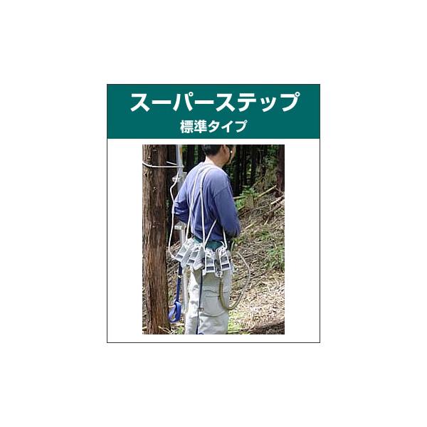 X[p[Xebv  W^Cv / 1Zbg6Xebv  ؓo蓹