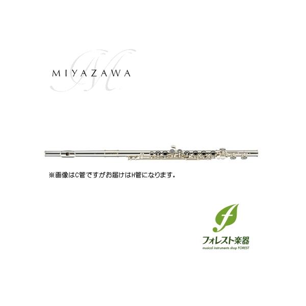 ミヤザワ フルートの人気商品・通販・価格比較 - 価格.com ミヤザワ フルートの人気商品・通販・価格比較 - 価格.com