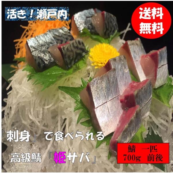 サバ 刺身の人気商品 通販 価格比較 価格 Com