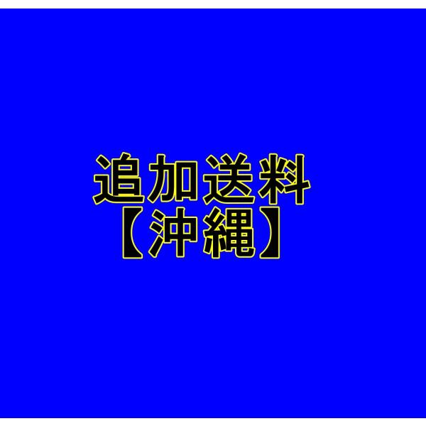 【追加送料決済用】沖縄県 楽天市場】再発送 沖縄県、離島など地域の追加送料 追加代金