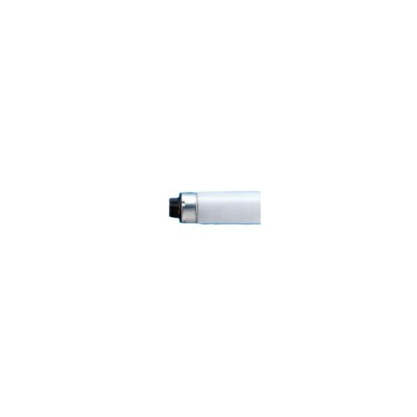 fortheearth_10001125-00