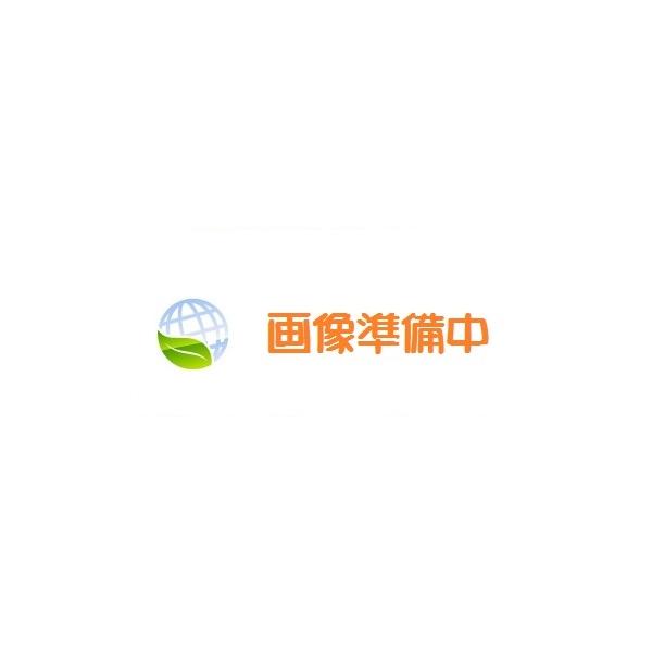 NDG1451(WW)【東芝】2線式片切オンピカスイッチB（0.5A） : フォア