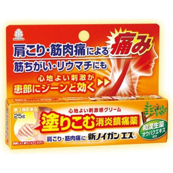 ★【第3類医薬品】新ノイガンエス 25g
