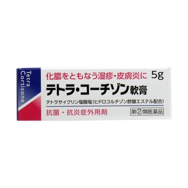 【第(2)類医薬品】テトラ・コーチゾン軟膏 5g [4個セット・【メール便(送料込)】※代引・日時・時間・他の商品と同時購入は不可]