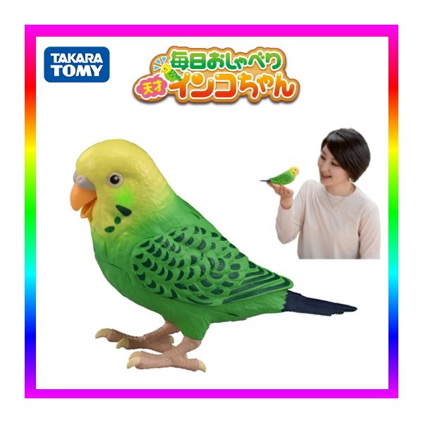 安いおしゃべりインコの通販商品を比較 ショッピング情報のオークファン