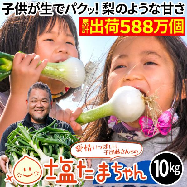 【ドレッシングプレゼント】 TVで話題のたまねぎ 熊本県産 たまねぎ 10kg 塩たまちゃん 塩玉ちゃん 塩玉ねぎ 玉ねぎ サラダたまねぎ