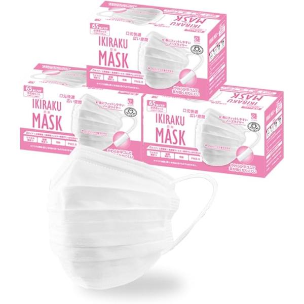 eirene（エレネ） マスク 不織布 プリーツマスク ホワイト 小さめ