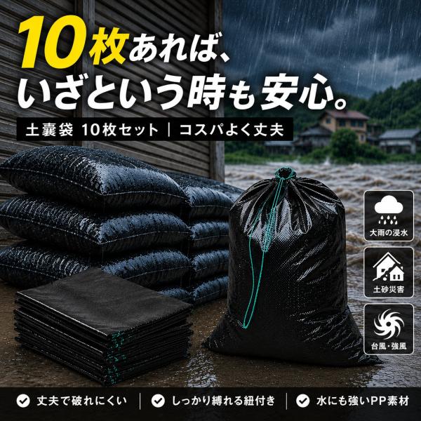 土嚢 水 耐候性 土嚢袋 黒 土嚢ぶくろ 土のう袋 防災 水タンク 防災セット 防災グッズ 台風 暴風ネット 重し 台風対策 大雨対策 浸水対策 48×62cm 10枚セット