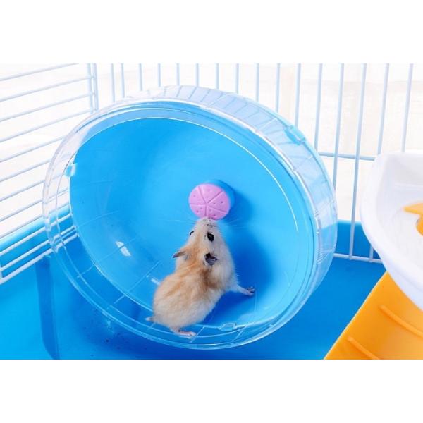 ハムスター ケージ 広い ハウス 小屋 籠 かご 飼育 大きい 2階建て スターターキット ハムスターケージ 小動物 ゴールデン ジャンガリアン リス フェレット :F6-AEA2-GVZR:Four Piece - 通販 - Yahoo!ショッピング ハムスター ケージ 広い ハウス 小屋 籠 かご 飼育 大きい 2階建て スターターキット ハムスターケージ 小動物 ゴールデン ジャンガリアン リス フェレット :F6-AEA2-GVZR:Four Piece - 通販 - Yahoo!ショッピング