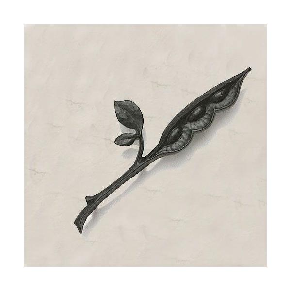 fB[YK[f \D \D ~jI[igg fB[YTC RNV