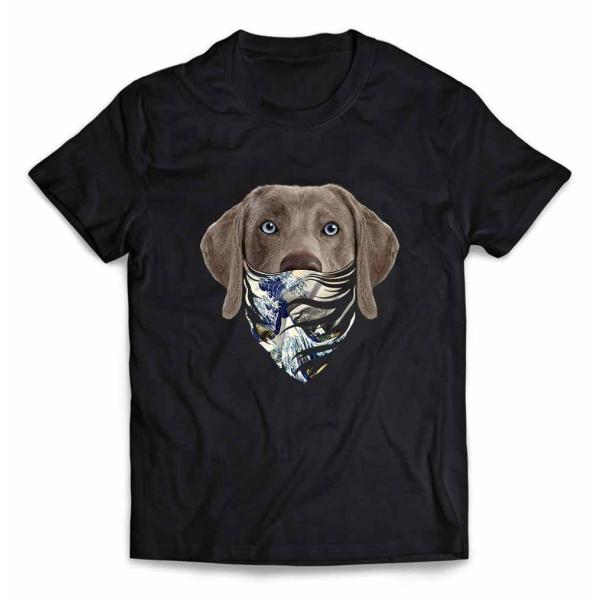 yC}i[ hbO   G o_izLbY  TVc by Fox Republic