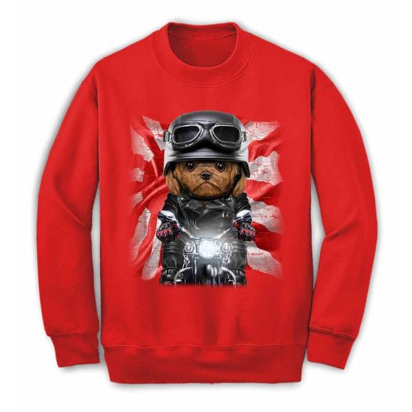 foxco おばけいぬ スウェット きゅん❤️ おばけいぬ かわいい💕 foxcoこと渡邉香織ちゃんの