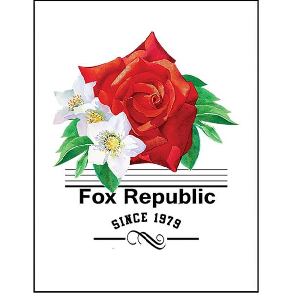 紙質：マットサイズ：100mm x 148mm