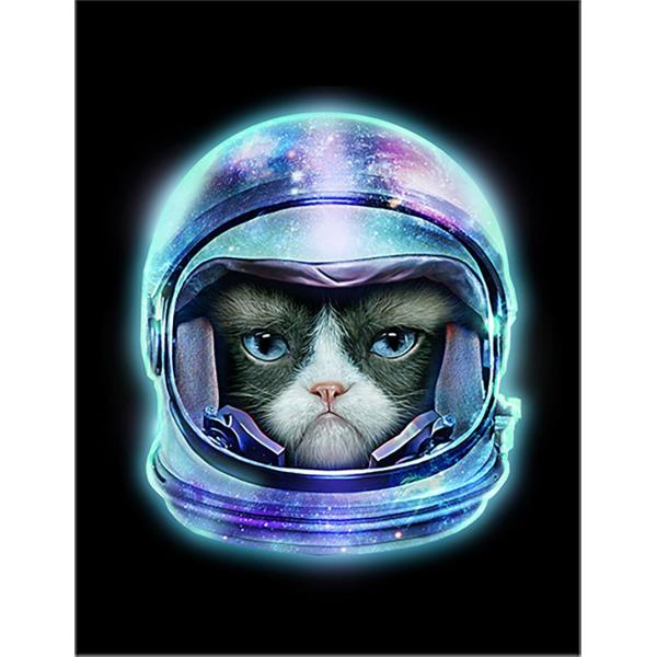 宇宙　ガラスの猫 宇宙飛行士・猫・ねこ】ポストカード 黒背景 : FOX REPUBLIC - 通販