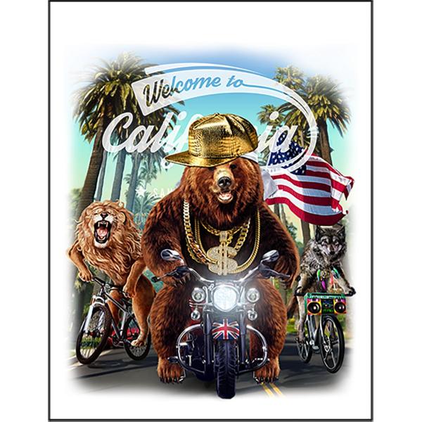 紙質：マットサイズ：100mm x 148mm