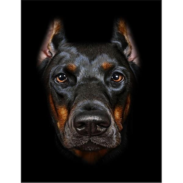 ドーベルマン、昭和、犬 昔の犬 | リングダンサーのドーベルマンと盆栽