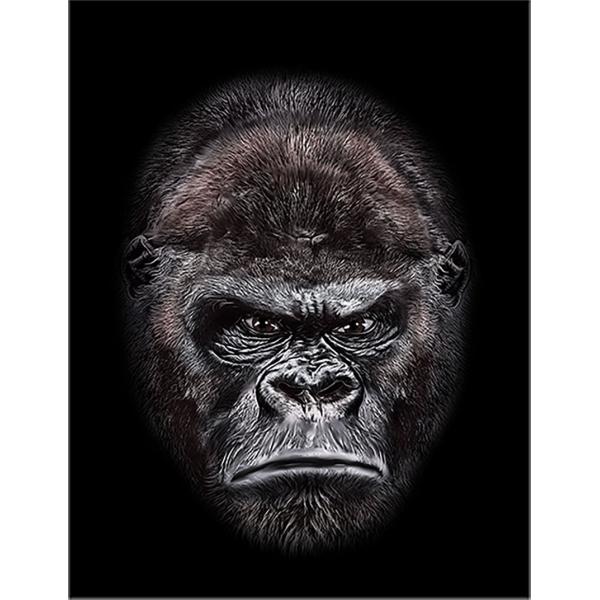 紙質：マットサイズ：100mm x 148mm