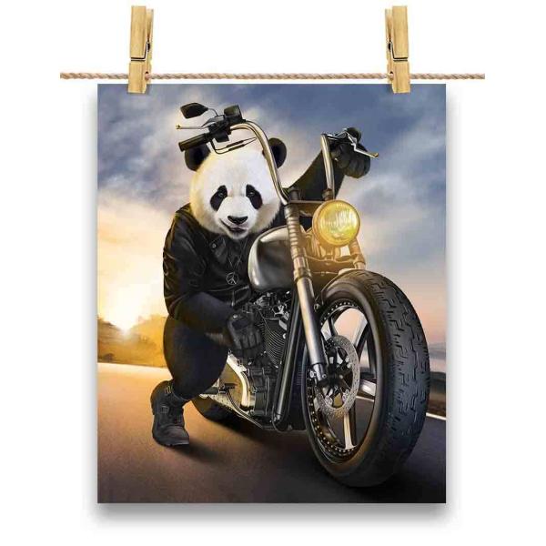 foxrepublic_postcard-biker12-2 foxrepublic_postcard-biker12-2