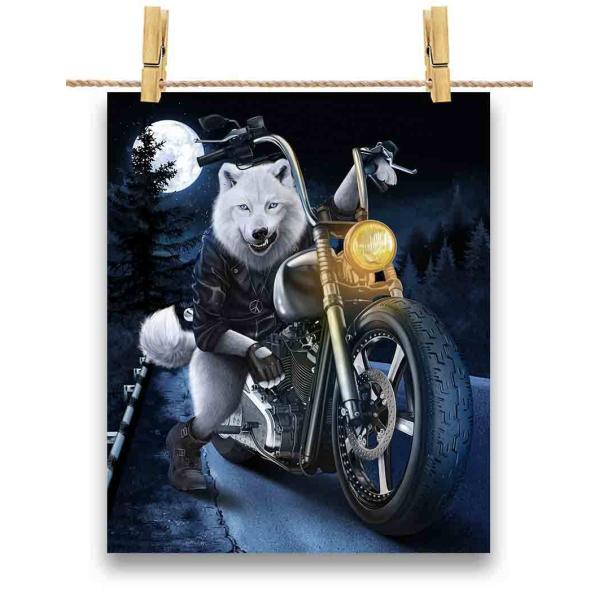 foxrepublic_postcard-biker15-2