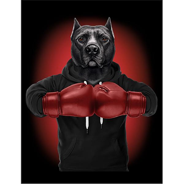 紙質：マットサイズ：100mm x 148mm