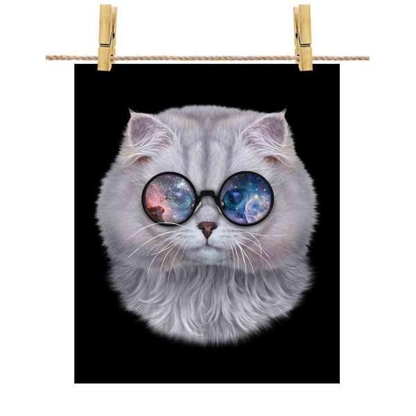 猫 サングラス 写真集の人気商品 通販 価格比較 価格 Com