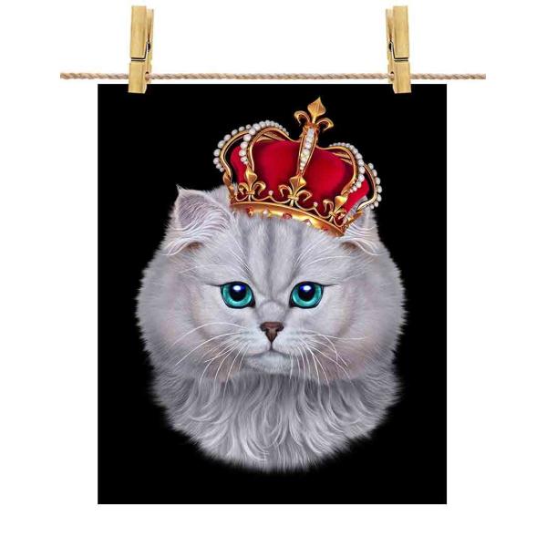 foxrepublic_postcard-cat1-9