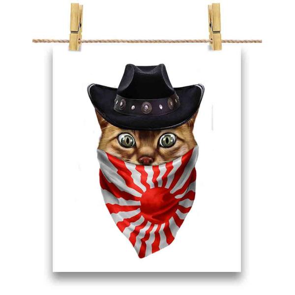 foxrepublic_postcard-cat122