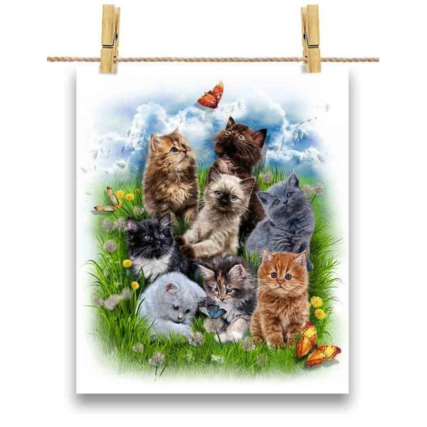 紙質：マットサイズ：100mm x 148mm