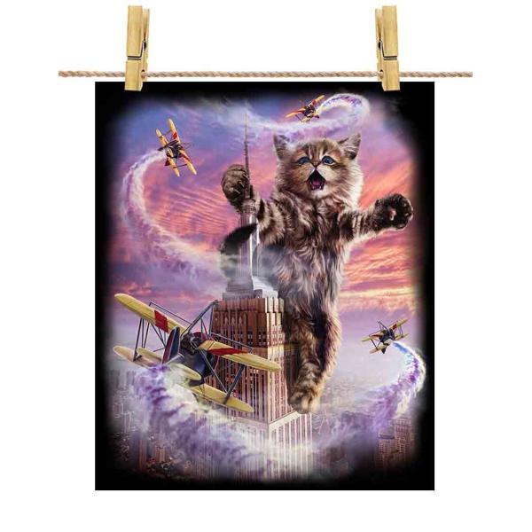 紙質：マットサイズ：100mm x 148mm