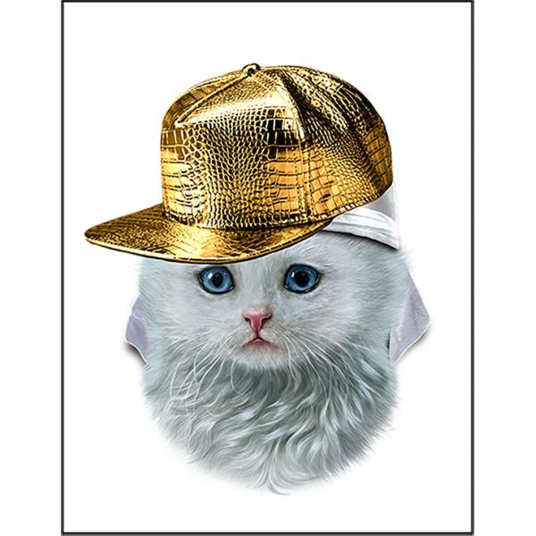 紙質：マットサイズ：100mm x 148mm