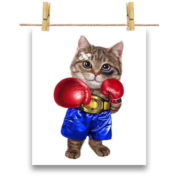 紙質：マットサイズ：100mm x 148mm