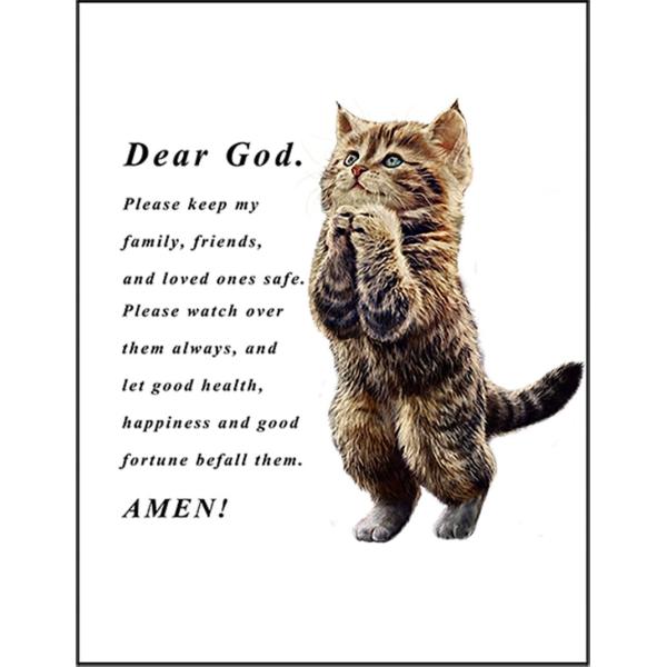 紙質：マットサイズ：100mm x 148mm