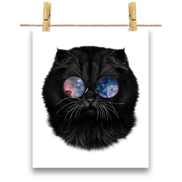 foxrepublic_postcard-cat2-2