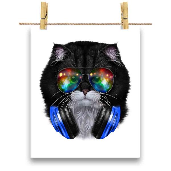 ねこ サングラス 写真集の人気商品 通販 価格比較 価格 Com