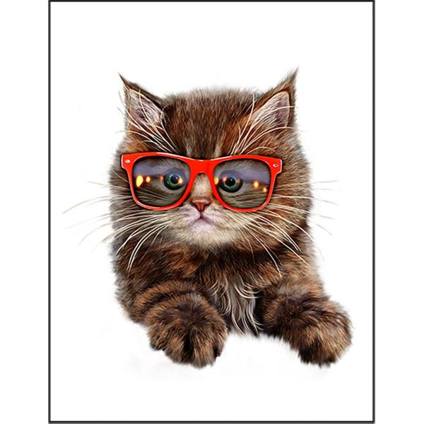 紙質：マットサイズ：100mm x 148mm