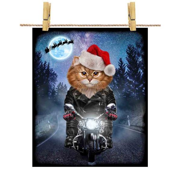 foxrepublic_postcard-cat5-30